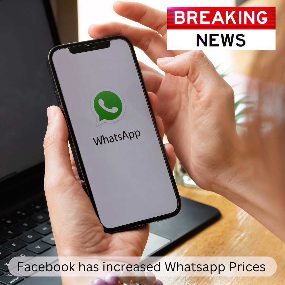 How to do whatsapp marketing?